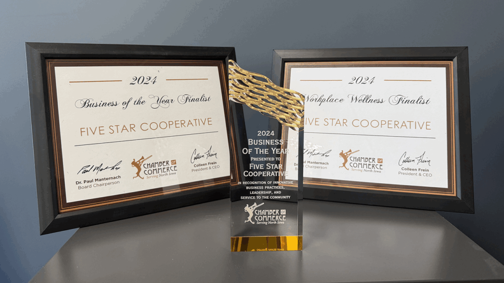 Five Star Business of the Year